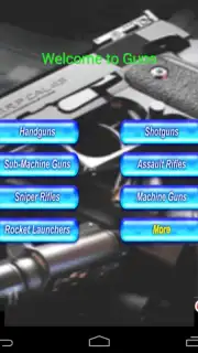 Guns capture 1