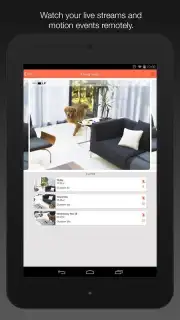 Manything capture 4