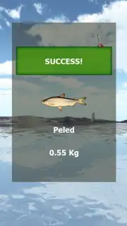 Fishing 3D Simulator. The Lakes capture 1