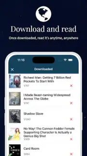 NovelBin capture 2
