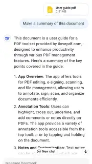 DeepSeek capture 3