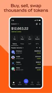 MetaMask capture 1