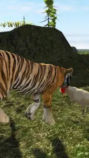 Tiger Simulator capture 2