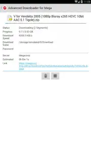 Advanced Downloader for Mega capture 6