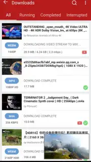 YVideo Downloader capture 2