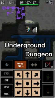 Rogue Hero capture 10