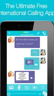 Voico capture 13