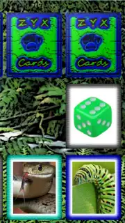 ZYXCards capture 1