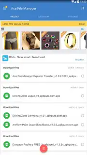 Ace File Manager capture 8