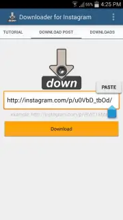 Video Downloader for Instagram capture 6