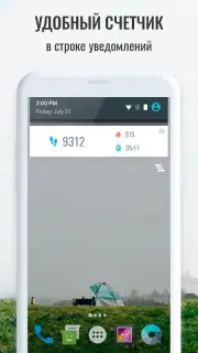 Pedometer capture 1