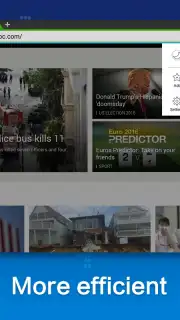 Web Browser capture 4
