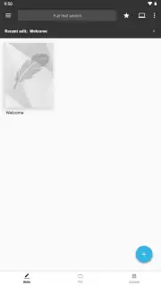 Writer Lite capture 1