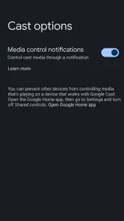 Google Play services capture 9