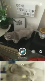 Motion Stills capture 1