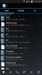 Explorer capture 8