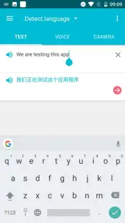 Youdao Translate capture 8