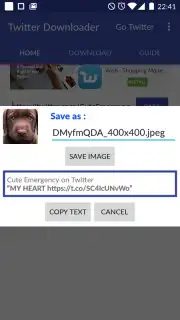 Video Downloader for Twitter capture 1