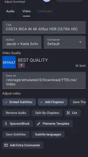 YTDLnis capture 15