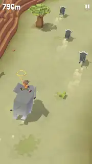 Rodeo Stampede capture 11
