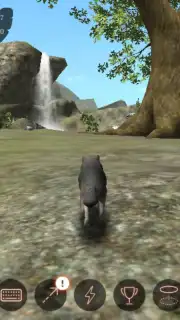 The Wolf capture 4