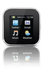 SmartWatch capture 4