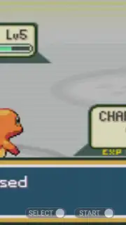 Pokemon Collection capture 2