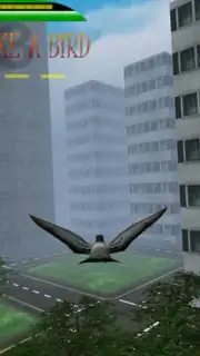 Fly like a bird 3 lite capture 1