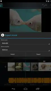 Movie Studio capture 2