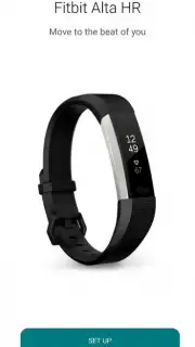Fitbit capture 12