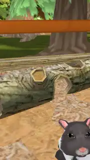 PetHotel - My animal boarding capture 2