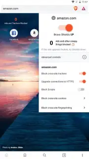 Brave Nightly (devs & testers) capture 1