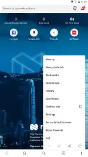 Brave Nightly (devs & testers) capture 2