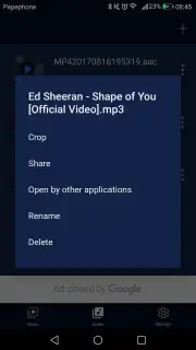 Audio Extractor capture 2