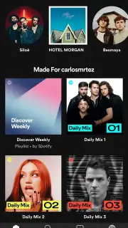 Spotify Lite capture 9