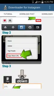 Video Downloader for Instagram capture 7