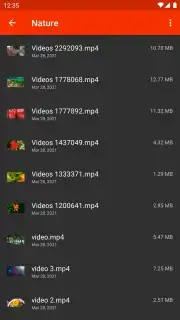 Video Player capture 6