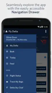 Fly Delta capture 8