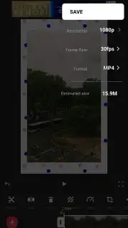 InShot capture 5