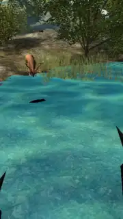 Bear Simulator capture 4