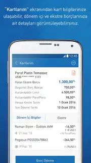 Halkbank capture 4