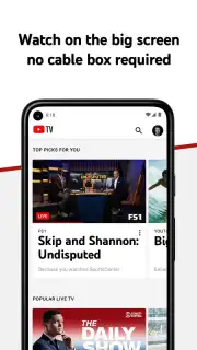 YouTube TV capture 4