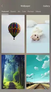 PIP Lock Screen capture 1