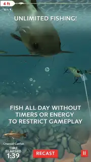 Rapala Fishing capture 4