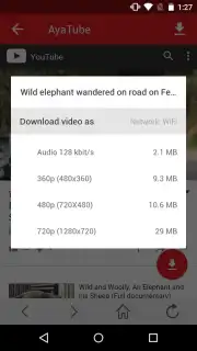 AyaTube Video Downloader capture 4