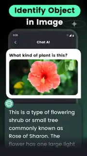 AI Chat capture 5