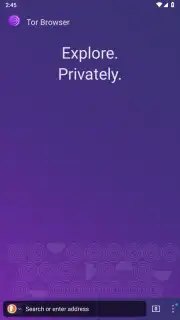 Tor Browser capture 21
