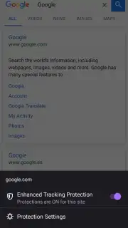 Iceraven Browser capture 8