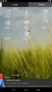 Music Player - Audio Player capture 3