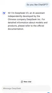 DeepSeek capture 6